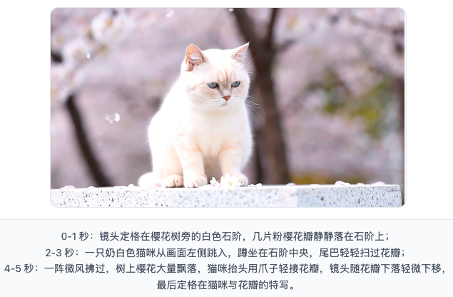 文生视频.png